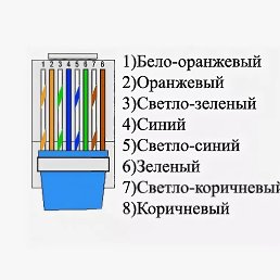 ������, ���������, 40 ���