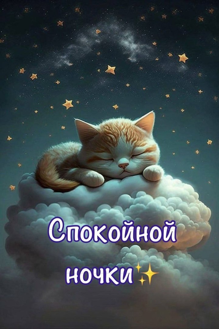  - 8  2025  03:56