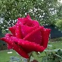���� ��������, ����� - ��������� 22 ������ 2026 � ������ ���� ����������