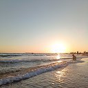 ����� � ������ ���� �� ������� ���������_2024�