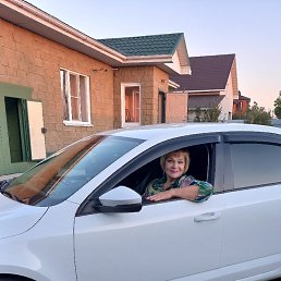 ���� ����, ������ ����� - ��������� 12 ������� 2026