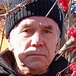 �����, ����, 64 ����