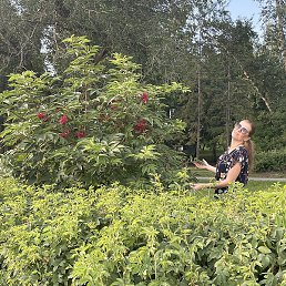 �, �����������