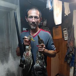 , 43, 