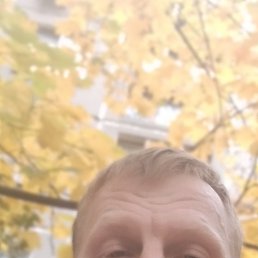 ���� ������, �����-���������, 50 ��� - ��������� 28 ������ 2026