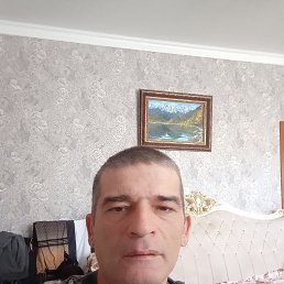 , 44, 