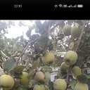 ���� ���� ������ �� ����, ������-��-����, 58 ��� - ��������� 25 ����� 2026