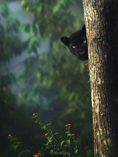 � �������� ������ �������� ���� ����� �������� ��, ���� ������ ������� ���� �������� � ������ ... - 8