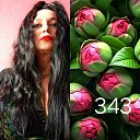 ���� �������, ������, 54 ���� - ��������� 16 ������� 2025 � ������ ���� ����������