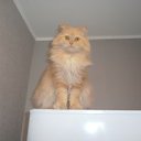 ���� �����, �������, 62 ���� - ��������� 6 ������ 2025 � ������ ���� ����������