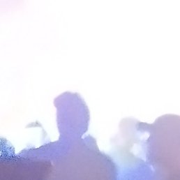 ������, ������, 37 ���