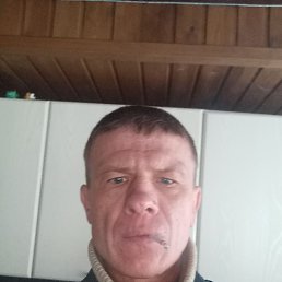 �����, 41 ���, ������������