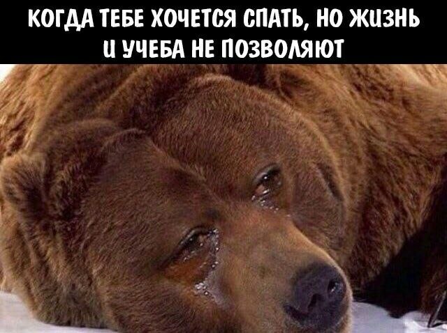   - 9  2023  08:38
