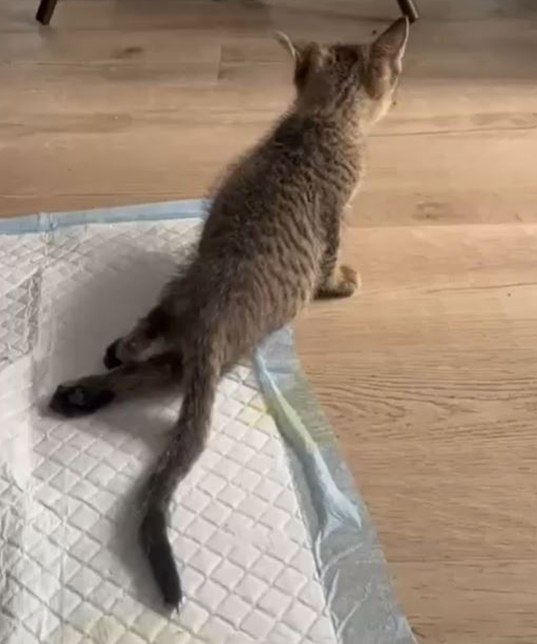 ���� ��������� ������� �����������, ������ ��� ����� �������. ���� ����, �� ����� ���� ������! ��� ... - 2