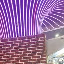 ���� ���������, �������, 35 ��� - ��������� 14 ����� 2024 � ������ ���� ����������