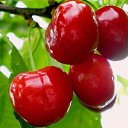 ���� ��������, ������-��-����, 41 ��� - ��������� 28 �������� 2025 � ������ ���� ����������