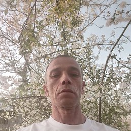 , 50, 