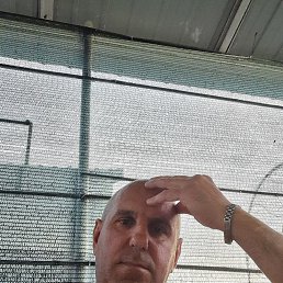 , 41, 
