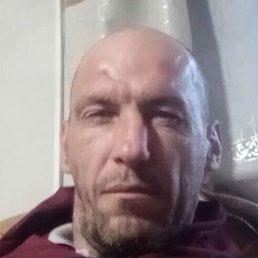 ����, ������������, 44 ����