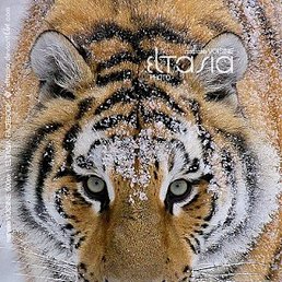 ������, ��������