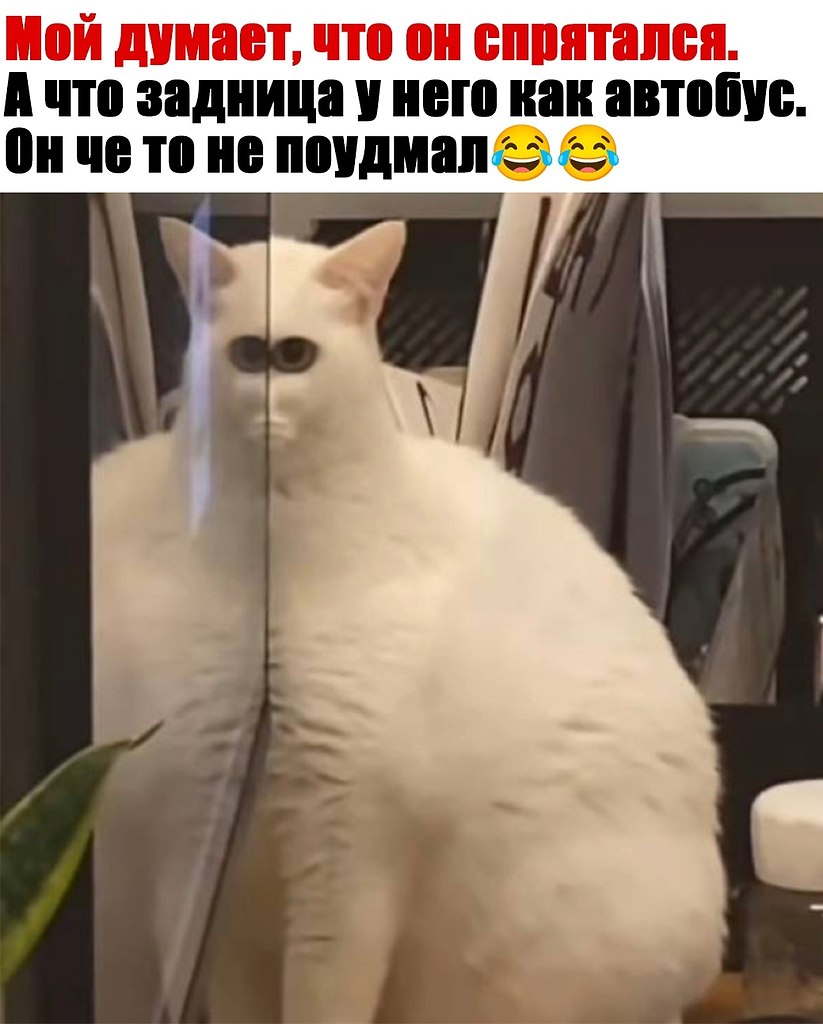  - 6  2024  03:15
