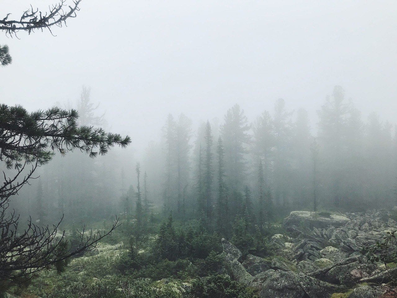   . :    : https://fotostrana.ru/away?to=/sl/ei54 ... - 4