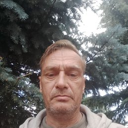 , 48, 