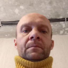 �����, �����-���������, 46 ���