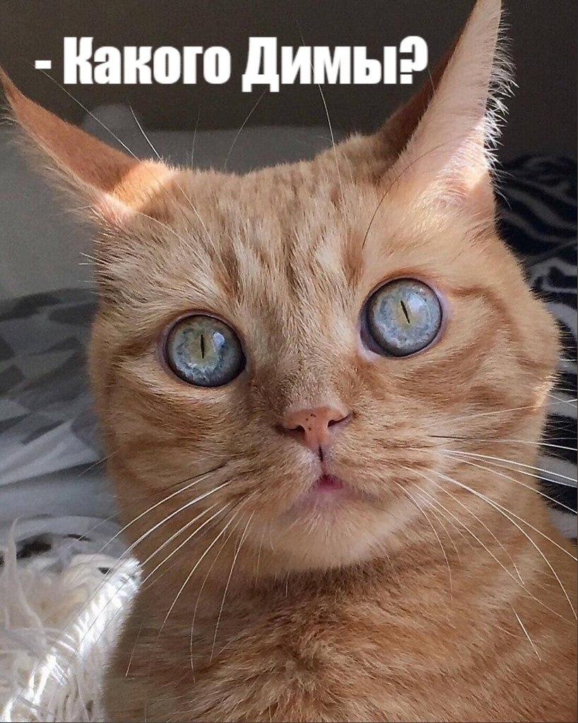       - 4  2025  16:03 - 4