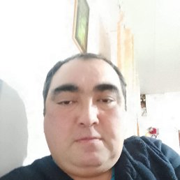 ������, 42 ����, ���������