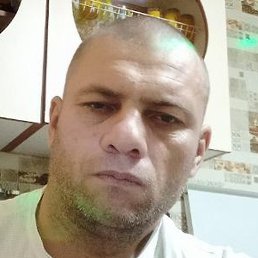 , , 44 