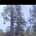 ���� �������, ������, 41 ��� - ��������� 7 ���� 2026