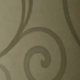 Leon, , 43 