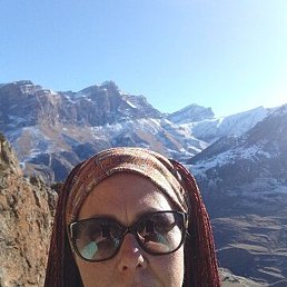 ������, ����������, 41 ���