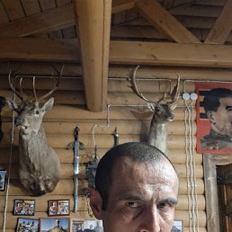 ���� ����, ������, 40 ��� - ��������� 5 �������� 2025