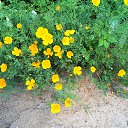 ���� �������, ��������, 69 ��� - ��������� 28 ���� 2026 � ������ ���� ����������