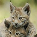 ���� ������, ������, 57 ��� - ��������� 20 ������ 2023