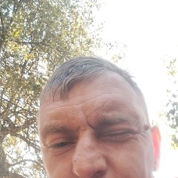 , 43, 