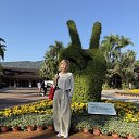 ���� �����, ���� - ��������� 17 ������� 2026 � ������ ���� ����������
