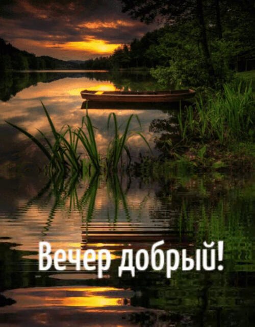   - 28  2025  21:31