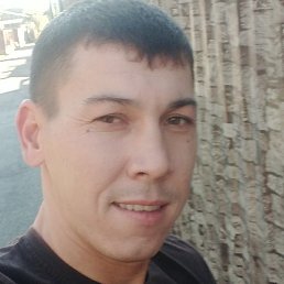 �����, �������, 33 ����