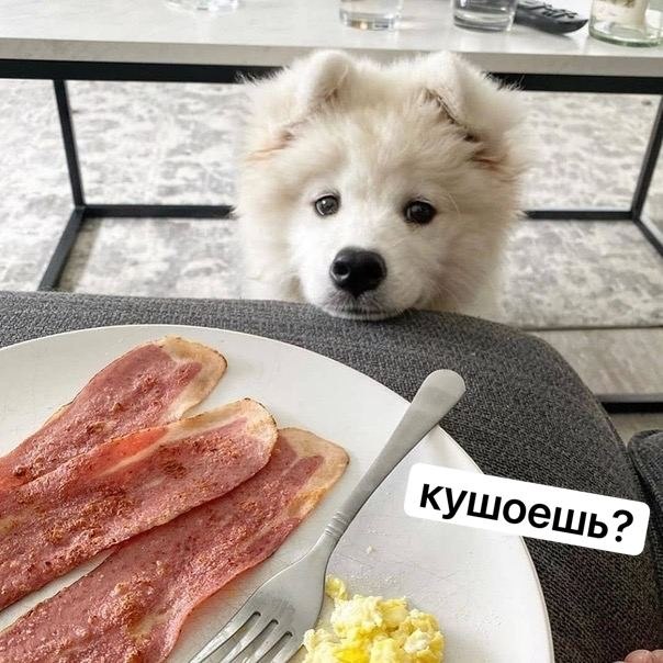    - 12  2024  13:40