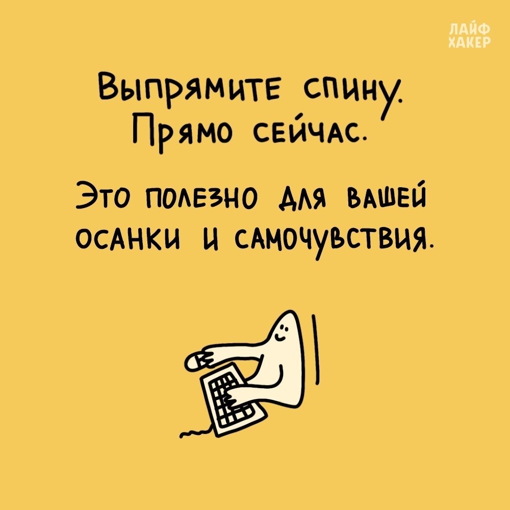 �������� �����������