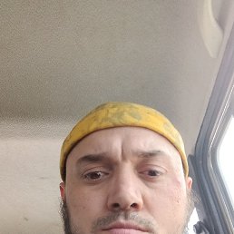 , 32, 