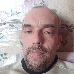 �������, ����, 46 ���