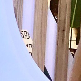 ���, �������, 42 ����