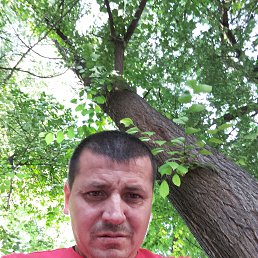 Mihai, 41, 
