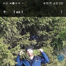 ������� �������, ������, 41 ���