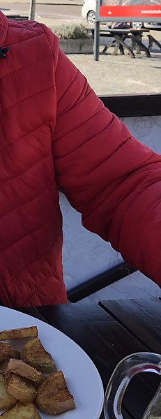 Jan Stastny, , 61 