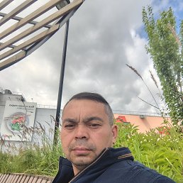 , 41, 